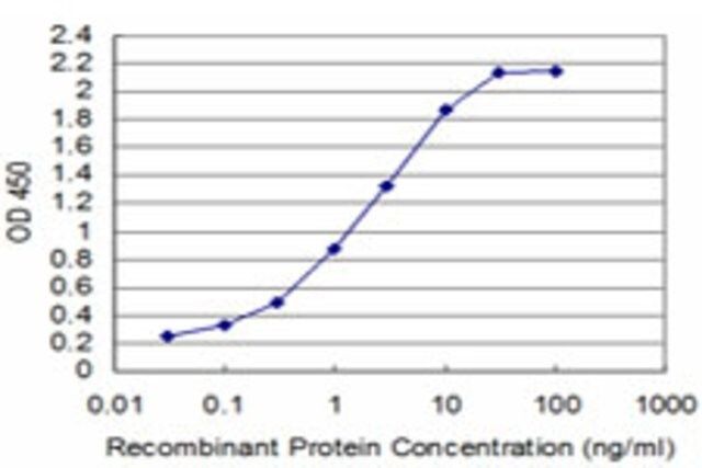 ANTI-TCL1A antibody produced in mouse