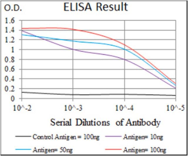 Anti-PAX3, clone 7D8G7 Antibody
