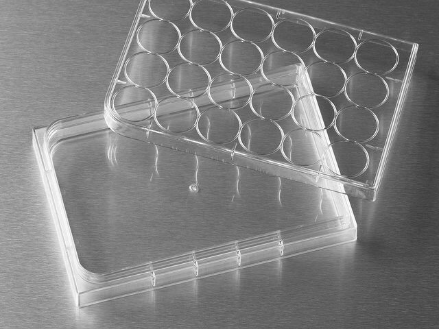 Corning<sup>®</sup> Costar<sup>®</sup> HTS Transwell<sup>®</sup> cell culture plates