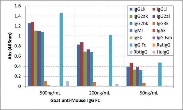 Anti-Mouse IgG Fc-Biotin antibody, Goat monoclonal