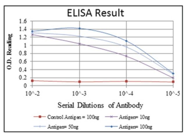 Anti-LIMS1, clone 5G7 Antibody