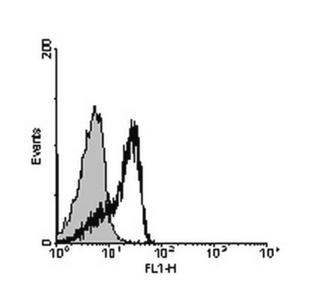 Anti-Integrin beta-3 (CD61) Antibody, clone HMb3-1