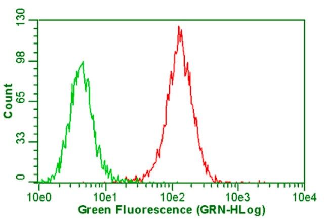 Anti-Integrin αVβ5 Antibody, clone P1F6