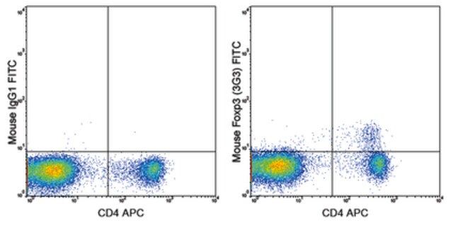 Anti-Foxp3 Antibody (mouse), FITC, clone 3G3