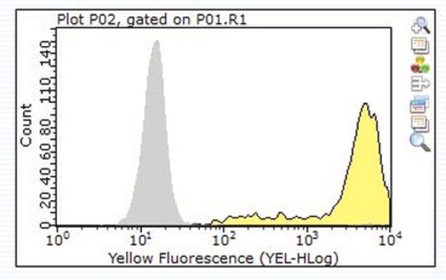 Anti-EGFR Antibody, clone 7F12.1