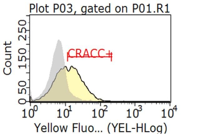 Anti-CRACC Antibody, clone 4G2