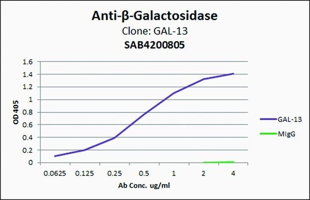Anti-β-Galactosidase antibody, Mouse monoclonal