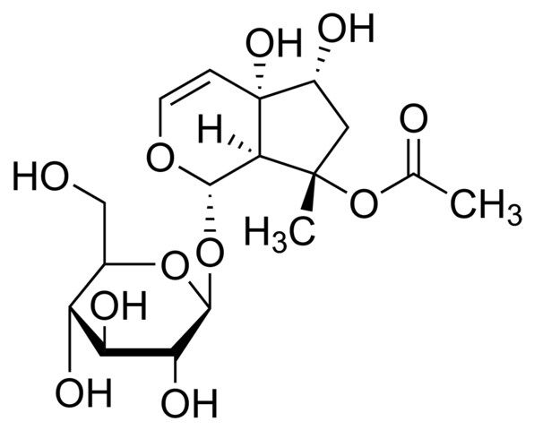 8-Acetylharpagide