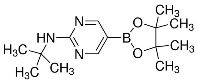 2-<i>tert</i>-Butylaminopyrimidine-5-boronic acid, pinacol ester