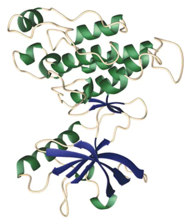 PI 3-Kinase HTRF<sup>®</sup> Assay; 50,000 wells