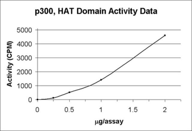 p300, HAT Domain