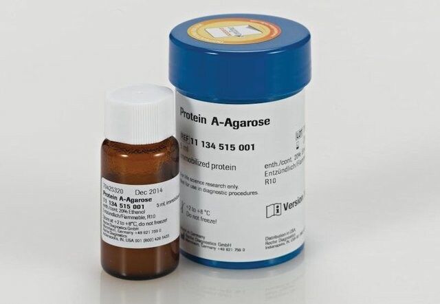 Protein A Agarose