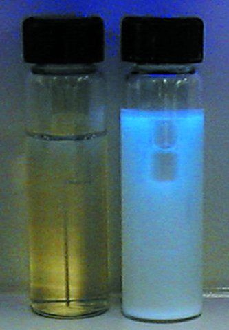 EC Bottled Broth