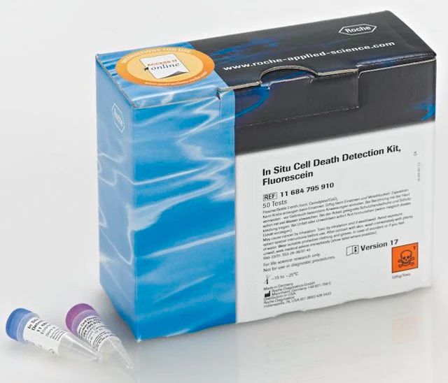 <i>In Situ</i> Cell Death Detection Kit, Fluorescein