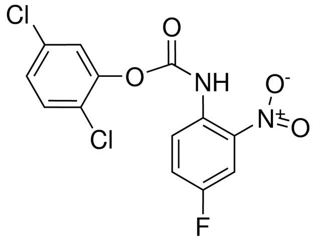 2,5-DICHLOROPHENYL N-(4-FLUORO-2-NITROPHENYL)CARBAMATE