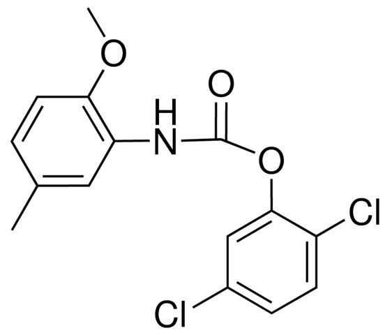 2,5-DICHLOROPHENYL N-(2-METHOXY-5-METHYLPHENYL)CARBAMATE