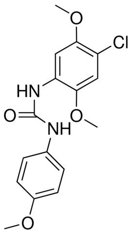 1-(4-CHLORO-2,5-DIMETHOXYPHENYL)-3-(4-METHOXYPHENYL)UREA