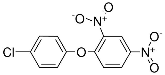 4'-CHLORO-2,4-DINITRODIPHENYL ETHER