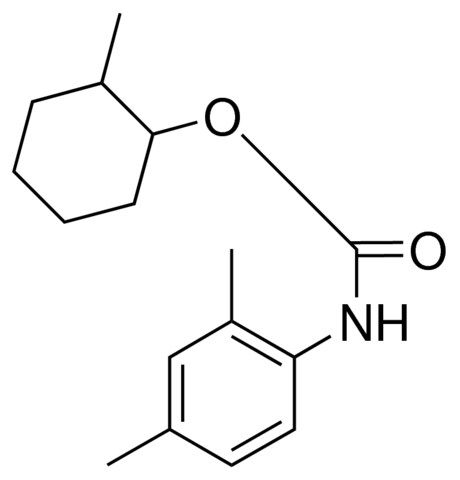 2-METHYLCYCLOHEXYL N-(2,4-XYLYL)CARBAMATE
