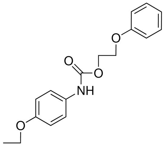 2-PHENOXYETHYL N-(4-ETHOXYPHENYL)CARBAMATE