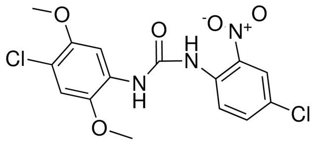 1-(4-CHLORO-2,5-DIMETHOXYPHENYL)-3-(4-CHLORO-2-NITROPHENYL)UREA
