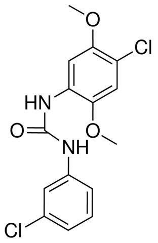 1-(4-CHLORO-2,5-DIMETHOXYPHENYL)-3-(3-CHLOROPHENYL)UREA