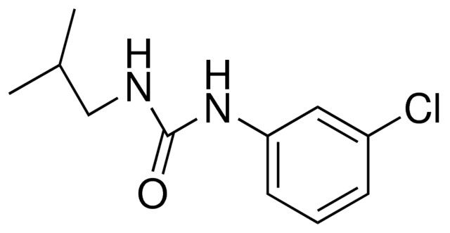 1-(3-CHLOROPHENYL)-3-ISOBUTYLUREA