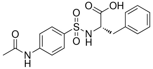 2-(4-ACETYLAMINO-BENZENESULFONYLAMINO)-3-PHENYL-PROPIONIC ACID