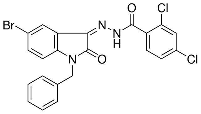 2,4-DICHLORO-BENZOIC ACID (1-BENZYL-5-BR-2-OXO-1,2-2H-INDOL-3-YLIDENE)-HYDRAZIDE