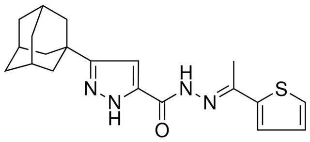 3-(1-ADAMANTYL)-N'-[(E)-1-(2-THIENYL)ETHYLIDENE]-1H-PYRAZOLE-5-CARBOHYDRAZIDE