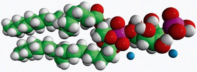 18:1 PI(4)P
