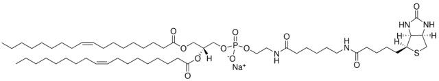 18:1 Biotinyl Cap PE