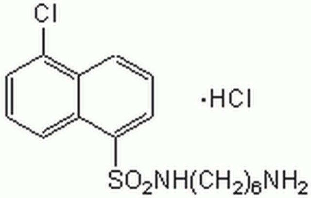 W-7, Hydrochloride-CAS 61714-27-0-Calbiochem
