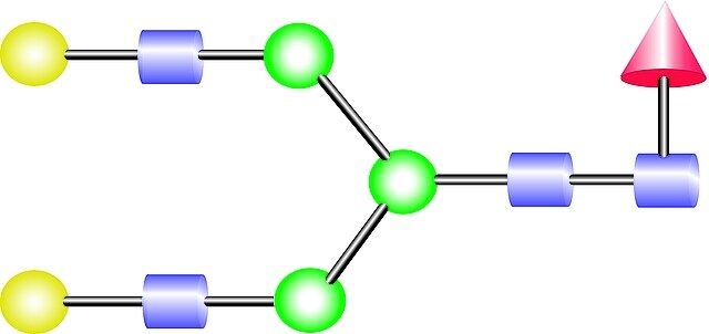 NA2F Glycan