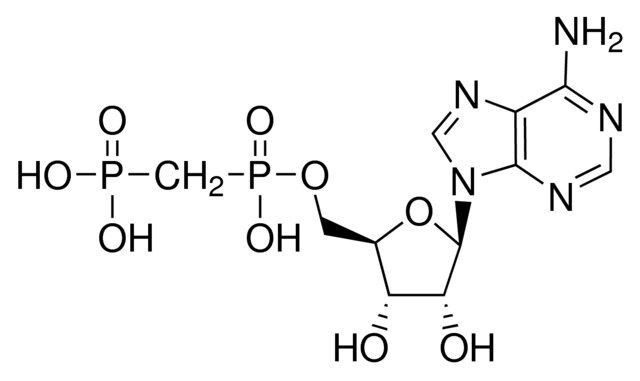 Adenosine 5′-(α,β-methylene)diphosphate