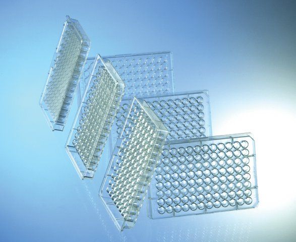 Greiner CELLSTAR<sup>®</sup> 96 well plates