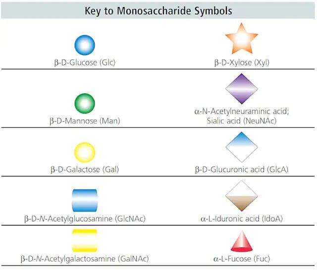A1F Glycan ammonium salt