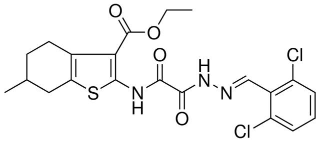 ETHYL 2-{[[(2E)-2-(2,6-DICHLOROBENZYLIDENE)HYDRAZINO](OXO)ACETYL]AMINO}-6-METHYL-4,5,6,7-TETRAHYDRO-1-BENZOTHIOPHENE-3-CARBOXYLATE