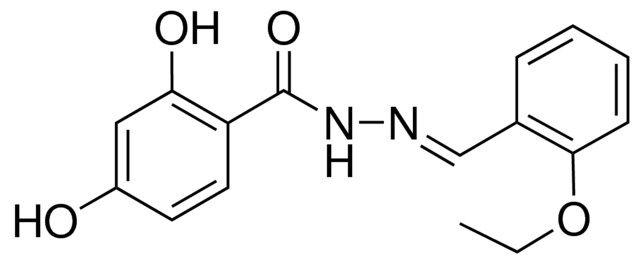 N'-(2-ETHOXYBENZYLIDENE)-2,4-DIHYDROXYBENZOHYDRAZIDE