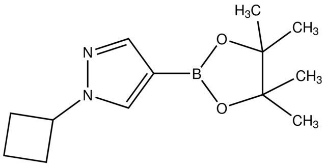 1-Cyclobutyl-1<i>H</i>-pyrazole-4-boronic acid pinacol ester