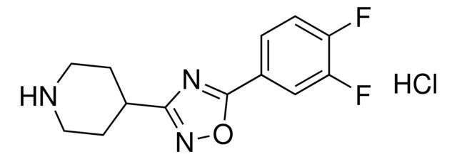 5-(3,4-Difluorophenyl)-3-(piperidin-4-yl)-1,2,4-oxadiazole hydrochloride