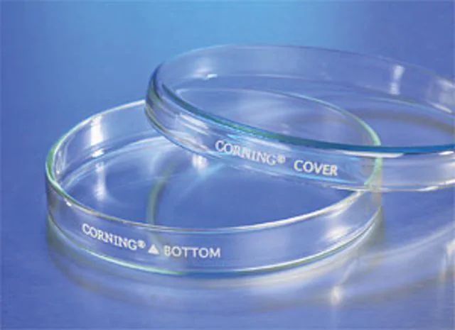 Corning<sup>®</sup> Soda Lime Silica glass petri dish