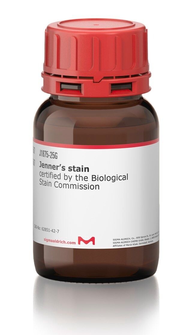 Jenner′s stain