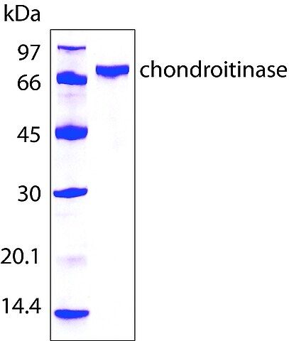 Chondroitinase AC from <i>Flavobacterium heparinum</i>