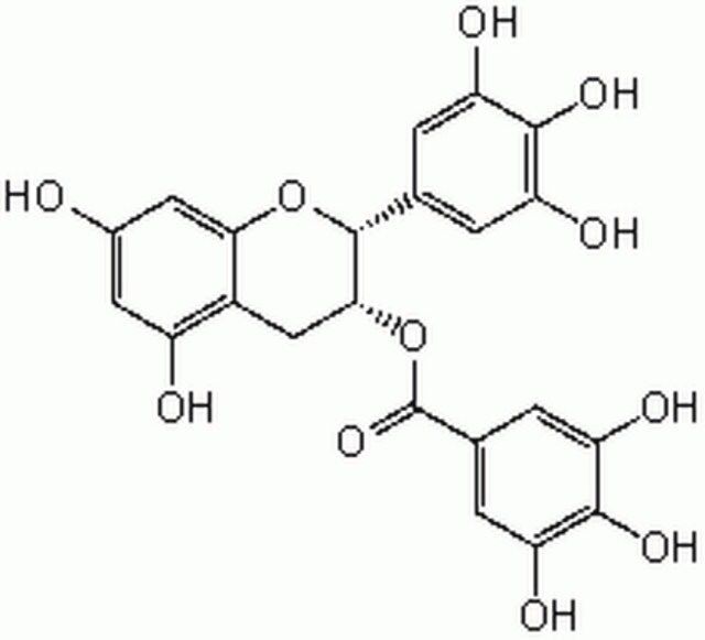 (–)-Epigallocatechin Gallate-CAS 989-51-5-Calbiochem