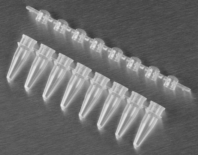 PCR strip tubes