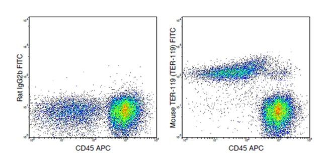 Anti-TER-119 (mouse), FITC, clone TER-119 Antibody