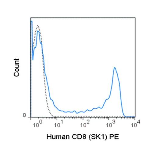 Anti-CD8 (human), PE, clone SK1 Antibody