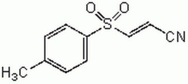 BAY 11-7082-CAS 19542-67-7-Calbiochem