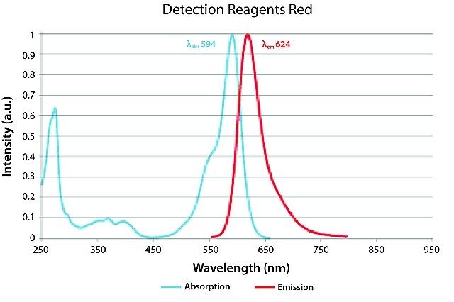 Duolink<sup>®</sup> In Situ Detection Reagents Red